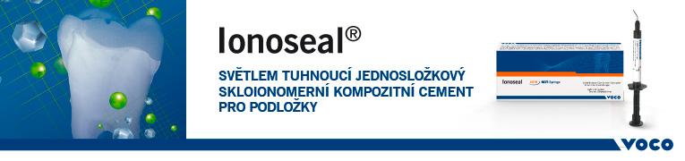 Voco Ionoseal